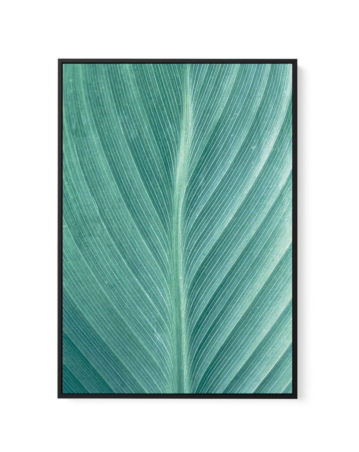 Green Leaves II | Framed Canvas-CANVAS-You can shop wall art online with Olive et Oriel for everything from abstract art to fun kids wall art. Our beautiful modern art prints and canvas art are available from large canvas prints to wall art paintings and our proudly Australian artwork collection offers only the highest quality framed large wall art and canvas art Australia - You can buy fashion photography prints or Hampton print posters and paintings on canvas from Olive et Oriel and have them 