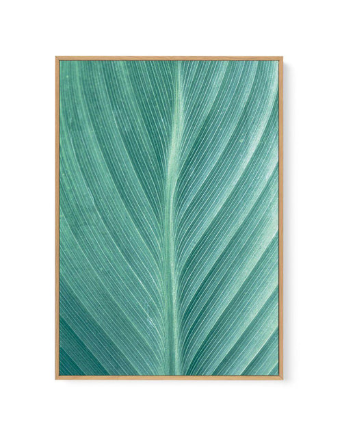 Green Leaves II | Framed Canvas-CANVAS-You can shop wall art online with Olive et Oriel for everything from abstract art to fun kids wall art. Our beautiful modern art prints and canvas art are available from large canvas prints to wall art paintings and our proudly Australian artwork collection offers only the highest quality framed large wall art and canvas art Australia - You can buy fashion photography prints or Hampton print posters and paintings on canvas from Olive et Oriel and have them 