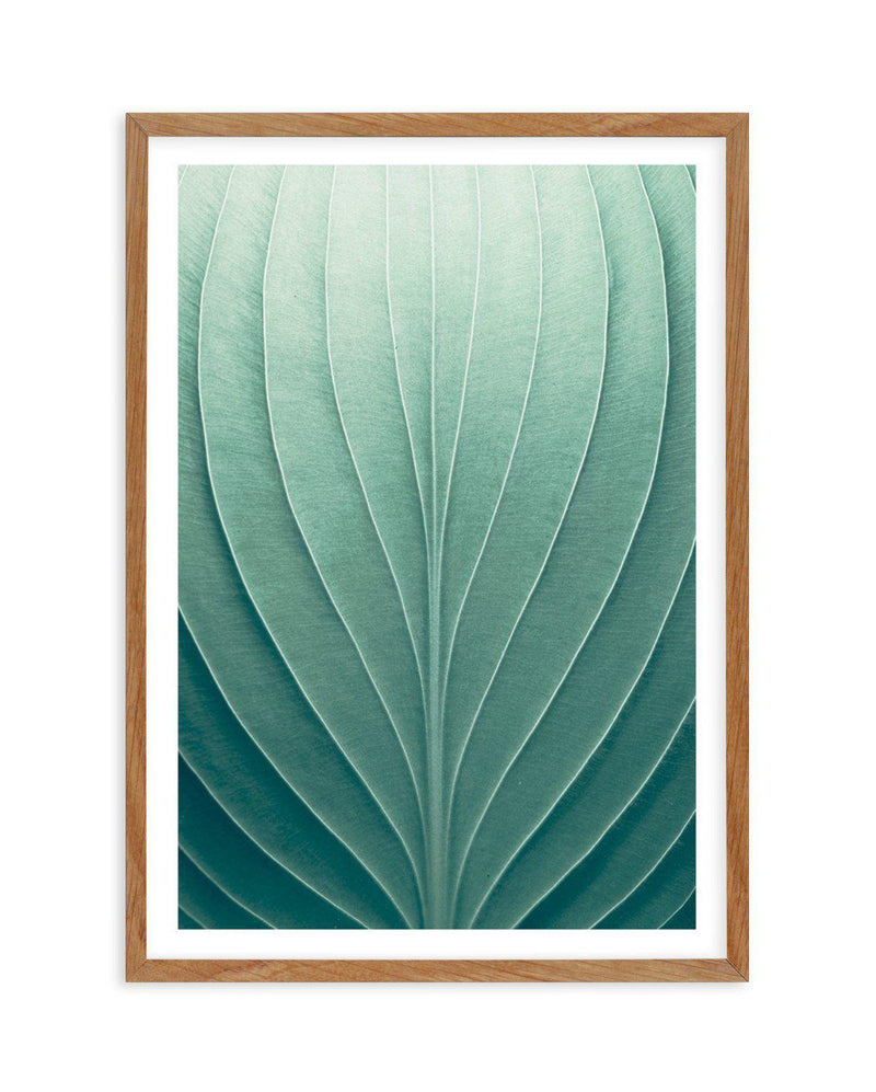 Green Leaves III Art Print-PRINT-Olive et Oriel-Olive et Oriel-50x70 cm | 19.6" x 27.5"-Walnut-With White Border-Buy-Australian-Art-Prints-Online-with-Olive-et-Oriel-Your-Artwork-Specialists-Austrailia-Decorate-With-Coastal-Photo-Wall-Art-Prints-From-Our-Beach-House-Artwork-Collection-Fine-Poster-and-Framed-Artwork