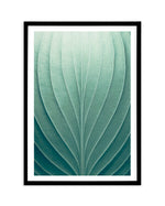 Green Leaves III Art Print-PRINT-Olive et Oriel-Olive et Oriel-A5 | 5.8" x 8.3" | 14.8 x 21cm-Black-With White Border-Buy-Australian-Art-Prints-Online-with-Olive-et-Oriel-Your-Artwork-Specialists-Austrailia-Decorate-With-Coastal-Photo-Wall-Art-Prints-From-Our-Beach-House-Artwork-Collection-Fine-Poster-and-Framed-Artwork