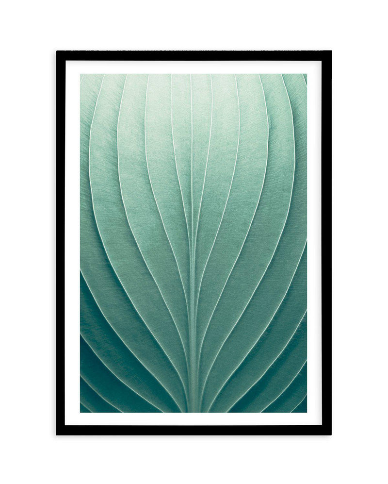 Green Leaves III Art Print-PRINT-Olive et Oriel-Olive et Oriel-A5 | 5.8" x 8.3" | 14.8 x 21cm-Black-With White Border-Buy-Australian-Art-Prints-Online-with-Olive-et-Oriel-Your-Artwork-Specialists-Austrailia-Decorate-With-Coastal-Photo-Wall-Art-Prints-From-Our-Beach-House-Artwork-Collection-Fine-Poster-and-Framed-Artwork
