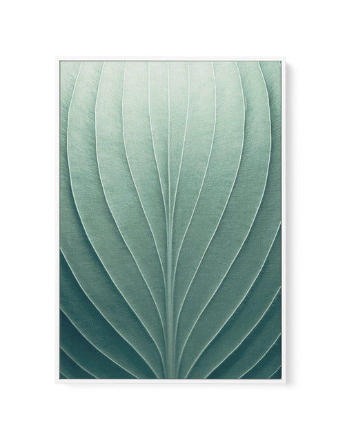 Green Leaves III | Framed Canvas-CANVAS-You can shop wall art online with Olive et Oriel for everything from abstract art to fun kids wall art. Our beautiful modern art prints and canvas art are available from large canvas prints to wall art paintings and our proudly Australian artwork collection offers only the highest quality framed large wall art and canvas art Australia - You can buy fashion photography prints or Hampton print posters and paintings on canvas from Olive et Oriel and have them