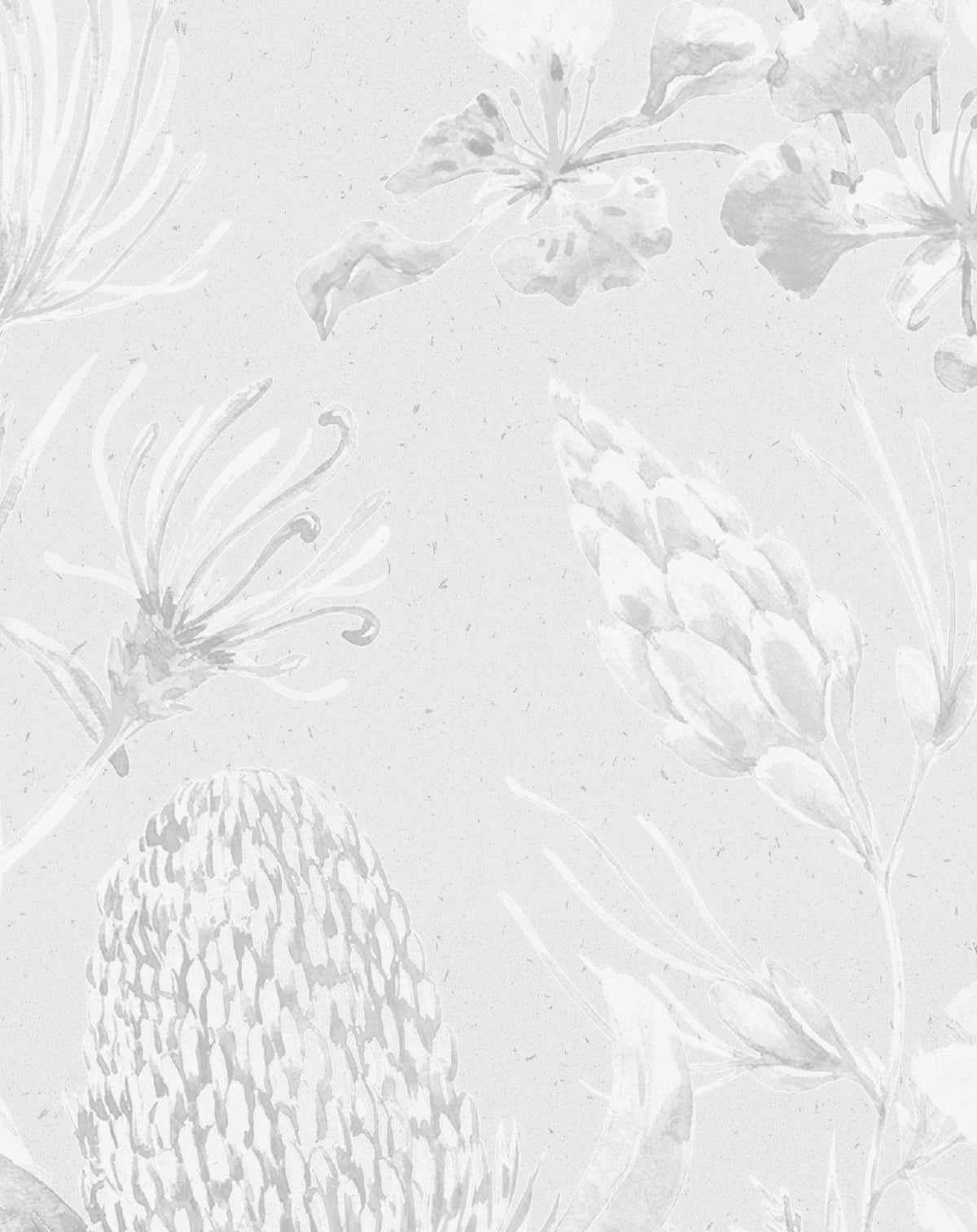 Grey Banksia Wallpaper Mural - Olive et Oriel