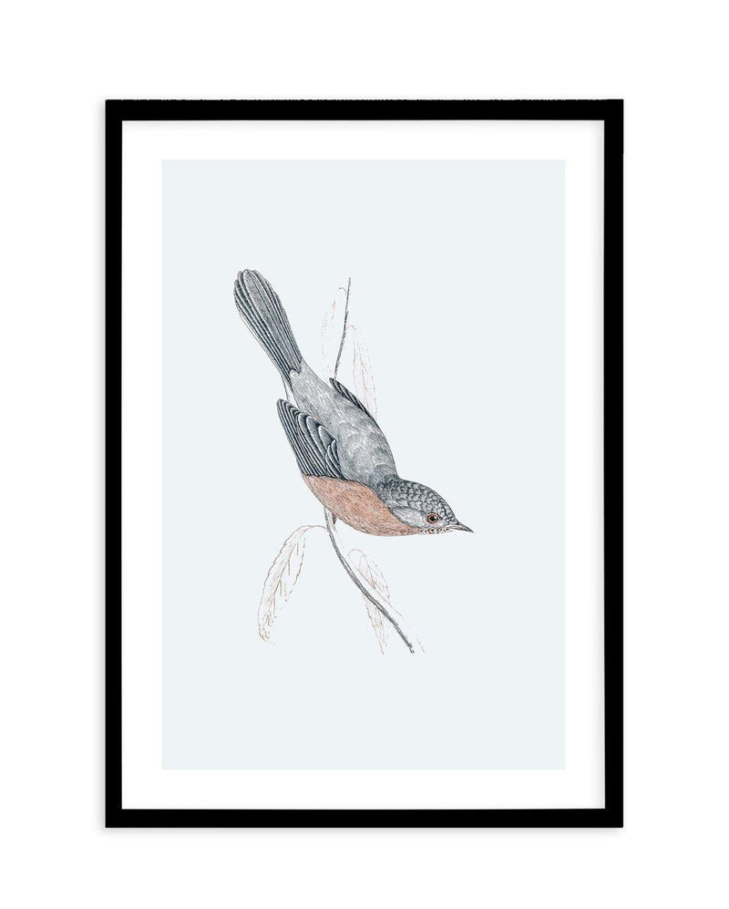 Hamptons Bird I Art Print-PRINT-Olive et Oriel-Olive et Oriel-A5 | 5.8" x 8.3" | 14.8 x 21cm-Black-With White Border-Buy-Australian-Art-Prints-Online-with-Olive-et-Oriel-Your-Artwork-Specialists-Austrailia-Decorate-With-Coastal-Photo-Wall-Art-Prints-From-Our-Beach-House-Artwork-Collection-Fine-Poster-and-Framed-Artwork