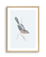 Hamptons Bird I Art Print-PRINT-Olive et Oriel-Olive et Oriel-A5 | 5.8" x 8.3" | 14.8 x 21cm-Oak-With White Border-Buy-Australian-Art-Prints-Online-with-Olive-et-Oriel-Your-Artwork-Specialists-Austrailia-Decorate-With-Coastal-Photo-Wall-Art-Prints-From-Our-Beach-House-Artwork-Collection-Fine-Poster-and-Framed-Artwork