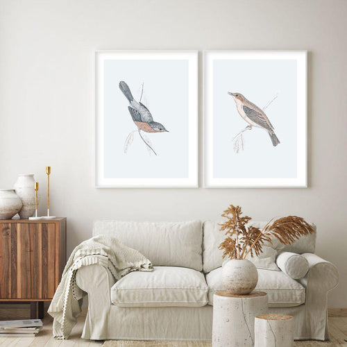 Hamptons Bird I Art Print-PRINT-Olive et Oriel-Olive et Oriel-Buy-Australian-Art-Prints-Online-with-Olive-et-Oriel-Your-Artwork-Specialists-Austrailia-Decorate-With-Coastal-Photo-Wall-Art-Prints-From-Our-Beach-House-Artwork-Collection-Fine-Poster-and-Framed-Artwork