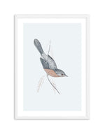 Hamptons Bird I Art Print-PRINT-Olive et Oriel-Olive et Oriel-A5 | 5.8" x 8.3" | 14.8 x 21cm-White-With White Border-Buy-Australian-Art-Prints-Online-with-Olive-et-Oriel-Your-Artwork-Specialists-Austrailia-Decorate-With-Coastal-Photo-Wall-Art-Prints-From-Our-Beach-House-Artwork-Collection-Fine-Poster-and-Framed-Artwork