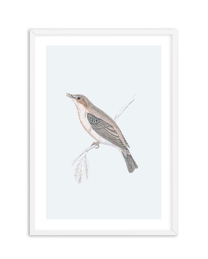 Hamptons Bird II Art Print-PRINT-Olive et Oriel-Olive et Oriel-A5 | 5.8" x 8.3" | 14.8 x 21cm-White-With White Border-Buy-Australian-Art-Prints-Online-with-Olive-et-Oriel-Your-Artwork-Specialists-Austrailia-Decorate-With-Coastal-Photo-Wall-Art-Prints-From-Our-Beach-House-Artwork-Collection-Fine-Poster-and-Framed-Artwork