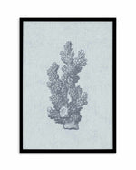 Hamptons Coral I Blue Art Print-PRINT-Olive et Oriel-Olive et Oriel-A5 | 5.8" x 8.3" | 14.8 x 21cm-Black-With White Border-Buy-Australian-Art-Prints-Online-with-Olive-et-Oriel-Your-Artwork-Specialists-Austrailia-Decorate-With-Coastal-Photo-Wall-Art-Prints-From-Our-Beach-House-Artwork-Collection-Fine-Poster-and-Framed-Artwork