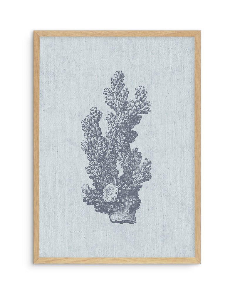 Hamptons Coral I Blue Art Print-PRINT-Olive et Oriel-Olive et Oriel-A5 | 5.8" x 8.3" | 14.8 x 21cm-Oak-With White Border-Buy-Australian-Art-Prints-Online-with-Olive-et-Oriel-Your-Artwork-Specialists-Austrailia-Decorate-With-Coastal-Photo-Wall-Art-Prints-From-Our-Beach-House-Artwork-Collection-Fine-Poster-and-Framed-Artwork
