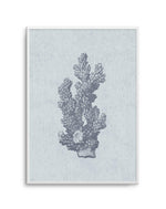 Hamptons Coral I Blue Art Print-PRINT-Olive et Oriel-Olive et Oriel-A5 | 5.8" x 8.3" | 14.8 x 21cm-Unframed Art Print-With White Border-Buy-Australian-Art-Prints-Online-with-Olive-et-Oriel-Your-Artwork-Specialists-Austrailia-Decorate-With-Coastal-Photo-Wall-Art-Prints-From-Our-Beach-House-Artwork-Collection-Fine-Poster-and-Framed-Artwork