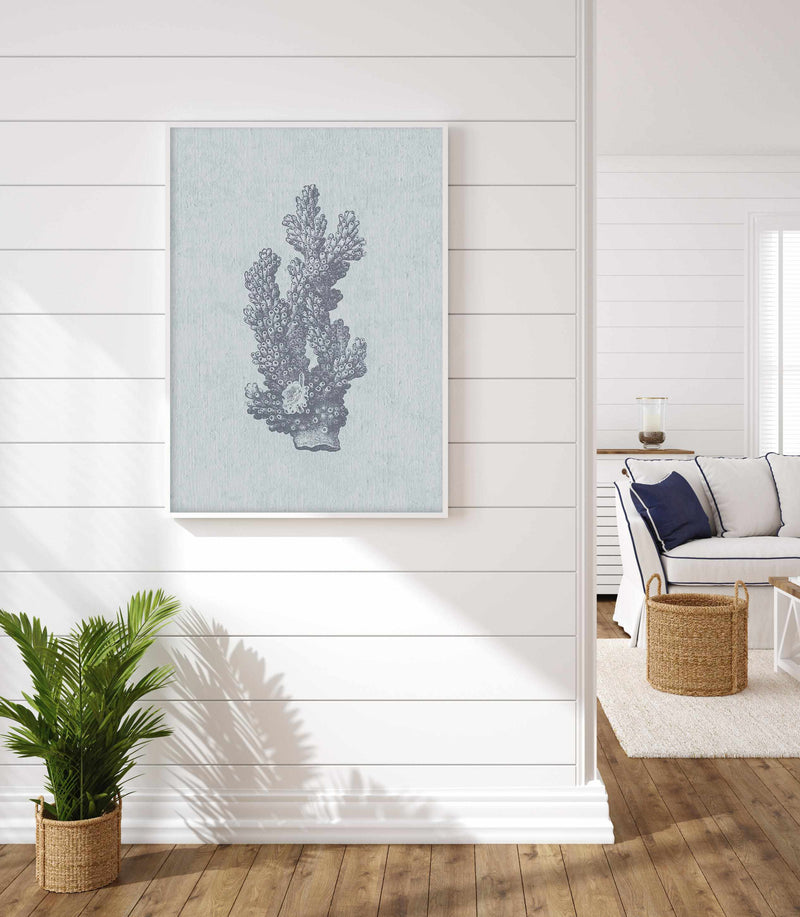 Hamptons Coral I Blue Art Print-PRINT-Olive et Oriel-Olive et Oriel-Buy-Australian-Art-Prints-Online-with-Olive-et-Oriel-Your-Artwork-Specialists-Austrailia-Decorate-With-Coastal-Photo-Wall-Art-Prints-From-Our-Beach-House-Artwork-Collection-Fine-Poster-and-Framed-Artwork