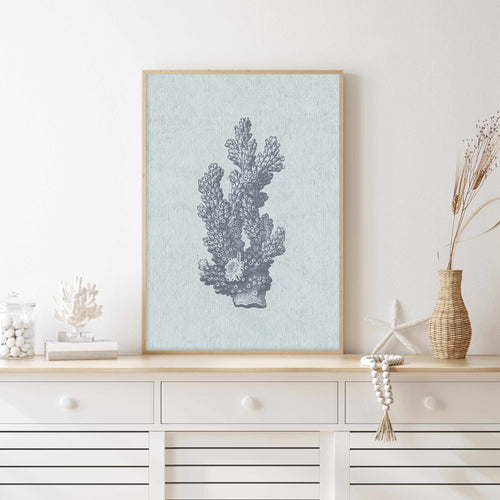 Hamptons Coral I Blue Art Print-PRINT-Olive et Oriel-Olive et Oriel-Buy-Australian-Art-Prints-Online-with-Olive-et-Oriel-Your-Artwork-Specialists-Austrailia-Decorate-With-Coastal-Photo-Wall-Art-Prints-From-Our-Beach-House-Artwork-Collection-Fine-Poster-and-Framed-Artwork