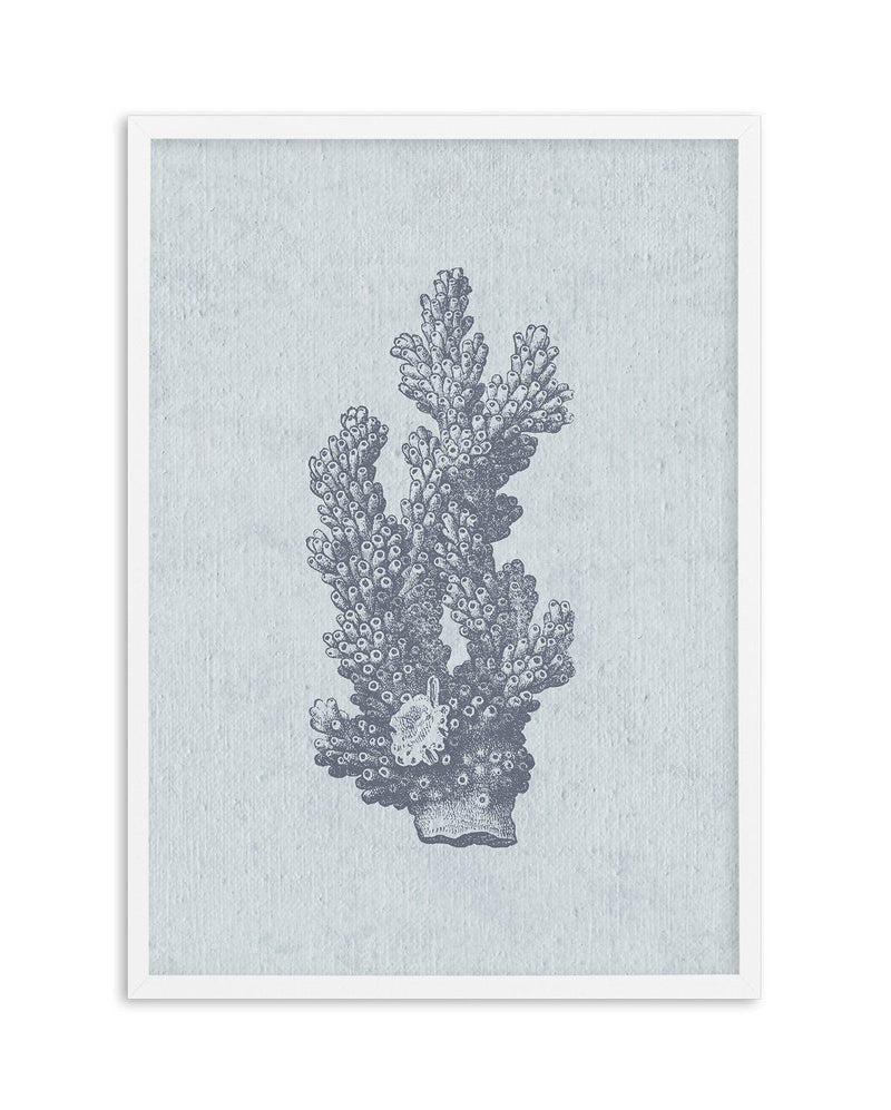Hamptons Coral I Blue Art Print-PRINT-Olive et Oriel-Olive et Oriel-A5 | 5.8" x 8.3" | 14.8 x 21cm-White-With White Border-Buy-Australian-Art-Prints-Online-with-Olive-et-Oriel-Your-Artwork-Specialists-Austrailia-Decorate-With-Coastal-Photo-Wall-Art-Prints-From-Our-Beach-House-Artwork-Collection-Fine-Poster-and-Framed-Artwork