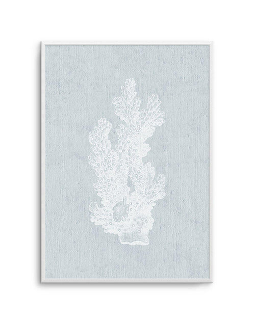 Hamptons Coral I White Art Print-PRINT-Olive et Oriel-Olive et Oriel-A5 | 5.8" x 8.3" | 14.8 x 21cm-Unframed Art Print-With White Border-Buy-Australian-Art-Prints-Online-with-Olive-et-Oriel-Your-Artwork-Specialists-Austrailia-Decorate-With-Coastal-Photo-Wall-Art-Prints-From-Our-Beach-House-Artwork-Collection-Fine-Poster-and-Framed-Artwork