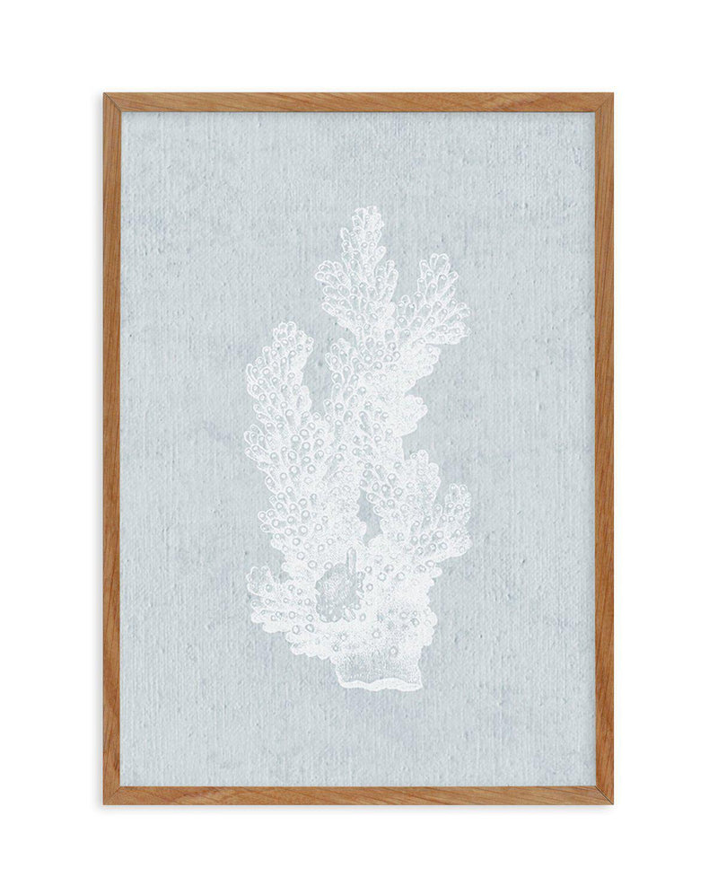 Hamptons Coral I White Art Print-PRINT-Olive et Oriel-Olive et Oriel-Buy-Australian-Art-Prints-Online-with-Olive-et-Oriel-Your-Artwork-Specialists-Austrailia-Decorate-With-Coastal-Photo-Wall-Art-Prints-From-Our-Beach-House-Artwork-Collection-Fine-Poster-and-Framed-Artwork