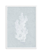 Hamptons Coral I White Art Print-PRINT-Olive et Oriel-Olive et Oriel-A5 | 5.8" x 8.3" | 14.8 x 21cm-White-With White Border-Buy-Australian-Art-Prints-Online-with-Olive-et-Oriel-Your-Artwork-Specialists-Austrailia-Decorate-With-Coastal-Photo-Wall-Art-Prints-From-Our-Beach-House-Artwork-Collection-Fine-Poster-and-Framed-Artwork