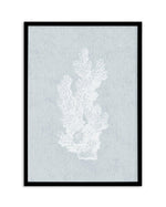 Hamptons Coral I White Art Print-PRINT-Olive et Oriel-Olive et Oriel-A5 | 5.8" x 8.3" | 14.8 x 21cm-Black-With White Border-Buy-Australian-Art-Prints-Online-with-Olive-et-Oriel-Your-Artwork-Specialists-Austrailia-Decorate-With-Coastal-Photo-Wall-Art-Prints-From-Our-Beach-House-Artwork-Collection-Fine-Poster-and-Framed-Artwork