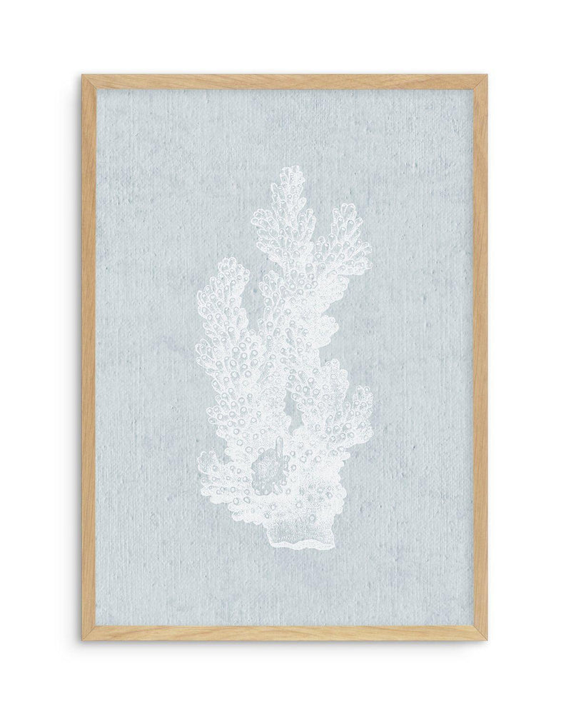 Hamptons Coral I White Art Print-PRINT-Olive et Oriel-Olive et Oriel-A5 | 5.8" x 8.3" | 14.8 x 21cm-Oak-With White Border-Buy-Australian-Art-Prints-Online-with-Olive-et-Oriel-Your-Artwork-Specialists-Austrailia-Decorate-With-Coastal-Photo-Wall-Art-Prints-From-Our-Beach-House-Artwork-Collection-Fine-Poster-and-Framed-Artwork