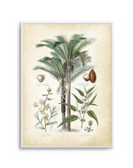 Hamptons Palm I Art Print-PRINT-Olive et Oriel-Olive et Oriel-A5 | 5.8" x 8.3" | 14.8 x 21cm-Unframed Art Print-With White Border-Buy-Australian-Art-Prints-Online-with-Olive-et-Oriel-Your-Artwork-Specialists-Austrailia-Decorate-With-Coastal-Photo-Wall-Art-Prints-From-Our-Beach-House-Artwork-Collection-Fine-Poster-and-Framed-Artwork