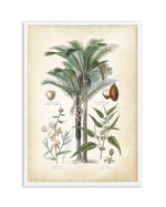 Hamptons Palm I Art Print-PRINT-Olive et Oriel-Olive et Oriel-A5 | 5.8" x 8.3" | 14.8 x 21cm-White-With White Border-Buy-Australian-Art-Prints-Online-with-Olive-et-Oriel-Your-Artwork-Specialists-Austrailia-Decorate-With-Coastal-Photo-Wall-Art-Prints-From-Our-Beach-House-Artwork-Collection-Fine-Poster-and-Framed-Artwork