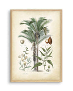 Hamptons Palm I Art Print-PRINT-Olive et Oriel-Olive et Oriel-A5 | 5.8" x 8.3" | 14.8 x 21cm-Oak-With White Border-Buy-Australian-Art-Prints-Online-with-Olive-et-Oriel-Your-Artwork-Specialists-Austrailia-Decorate-With-Coastal-Photo-Wall-Art-Prints-From-Our-Beach-House-Artwork-Collection-Fine-Poster-and-Framed-Artwork