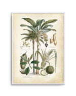 Hamptons Palm II Art Print-PRINT-Olive et Oriel-Olive et Oriel-A5 | 5.8" x 8.3" | 14.8 x 21cm-Unframed Art Print-With White Border-Buy-Australian-Art-Prints-Online-with-Olive-et-Oriel-Your-Artwork-Specialists-Austrailia-Decorate-With-Coastal-Photo-Wall-Art-Prints-From-Our-Beach-House-Artwork-Collection-Fine-Poster-and-Framed-Artwork