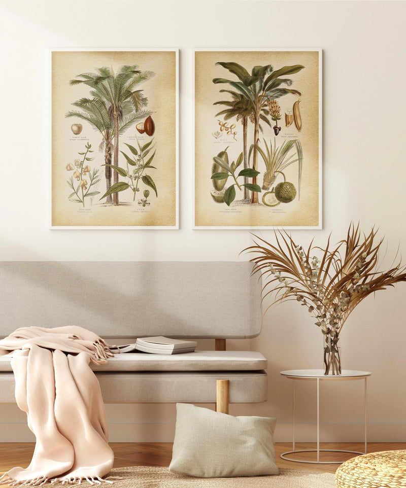Hamptons Palm II Art Print-PRINT-Olive et Oriel-Olive et Oriel-Buy-Australian-Art-Prints-Online-with-Olive-et-Oriel-Your-Artwork-Specialists-Austrailia-Decorate-With-Coastal-Photo-Wall-Art-Prints-From-Our-Beach-House-Artwork-Collection-Fine-Poster-and-Framed-Artwork