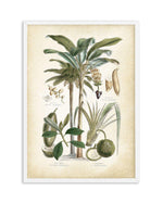 Hamptons Palm II Art Print-PRINT-Olive et Oriel-Olive et Oriel-A5 | 5.8" x 8.3" | 14.8 x 21cm-White-With White Border-Buy-Australian-Art-Prints-Online-with-Olive-et-Oriel-Your-Artwork-Specialists-Austrailia-Decorate-With-Coastal-Photo-Wall-Art-Prints-From-Our-Beach-House-Artwork-Collection-Fine-Poster-and-Framed-Artwork