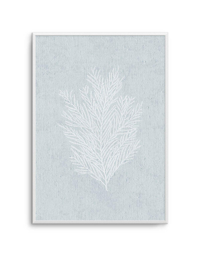 Hamptons Seaside Collection III White Art Print-PRINT-Olive et Oriel-Olive et Oriel-A5 | 5.8" x 8.3" | 14.8 x 21cm-Unframed Art Print-With White Border-Buy-Australian-Art-Prints-Online-with-Olive-et-Oriel-Your-Artwork-Specialists-Austrailia-Decorate-With-Coastal-Photo-Wall-Art-Prints-From-Our-Beach-House-Artwork-Collection-Fine-Poster-and-Framed-Artwork