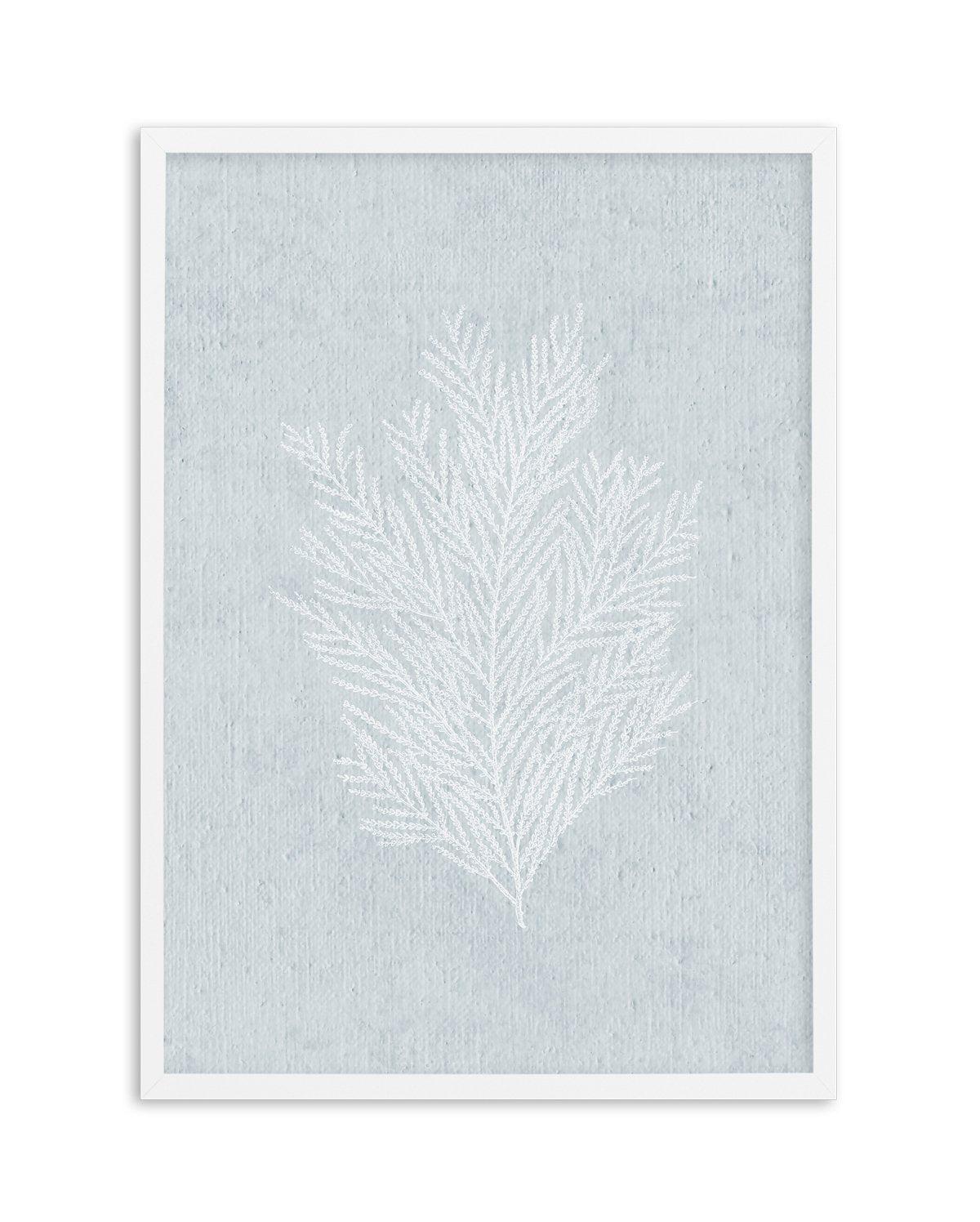 Hamptons Seaside Collection III White Art Print-PRINT-Olive et Oriel-Olive et Oriel-A5 | 5.8" x 8.3" | 14.8 x 21cm-White-With White Border-Buy-Australian-Art-Prints-Online-with-Olive-et-Oriel-Your-Artwork-Specialists-Austrailia-Decorate-With-Coastal-Photo-Wall-Art-Prints-From-Our-Beach-House-Artwork-Collection-Fine-Poster-and-Framed-Artwork