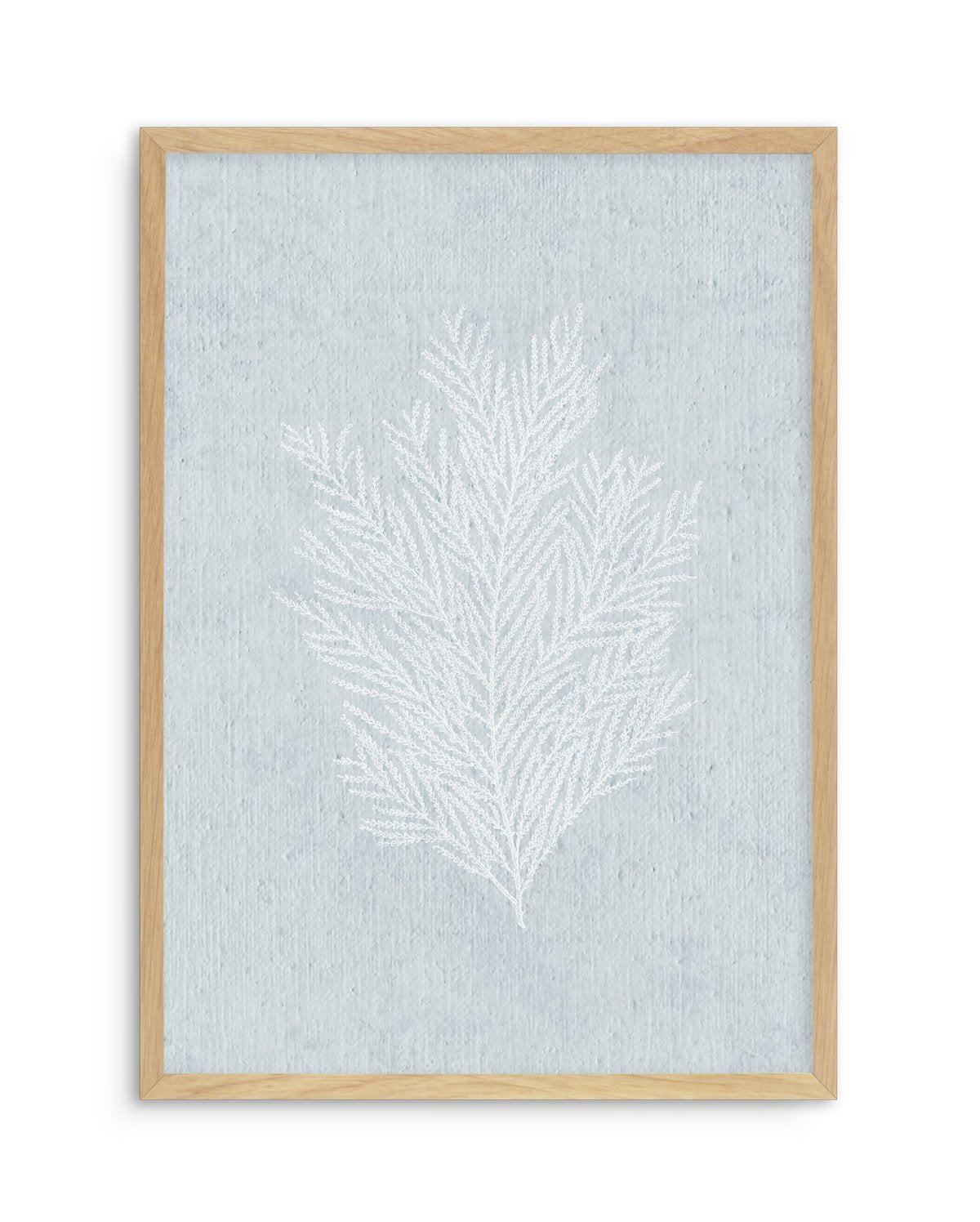 Hamptons Seaside Collection III White Art Print-PRINT-Olive et Oriel-Olive et Oriel-A5 | 5.8" x 8.3" | 14.8 x 21cm-Oak-With White Border-Buy-Australian-Art-Prints-Online-with-Olive-et-Oriel-Your-Artwork-Specialists-Austrailia-Decorate-With-Coastal-Photo-Wall-Art-Prints-From-Our-Beach-House-Artwork-Collection-Fine-Poster-and-Framed-Artwork