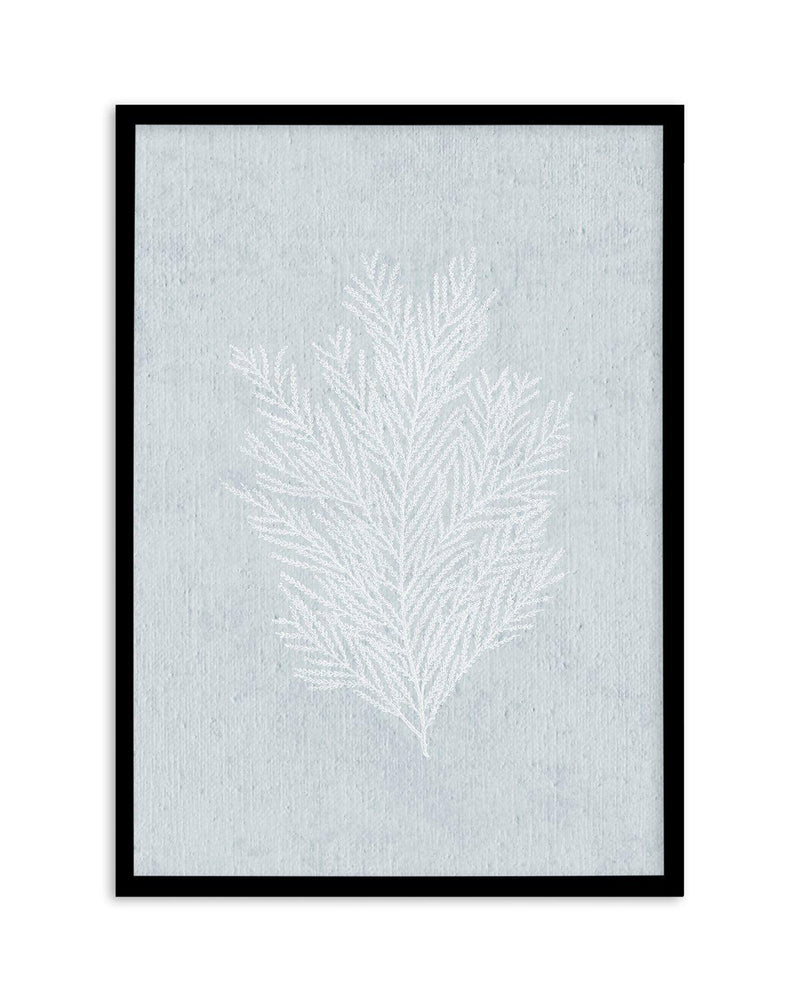 Hamptons Seaside Collection III White Art Print-PRINT-Olive et Oriel-Olive et Oriel-A5 | 5.8" x 8.3" | 14.8 x 21cm-Black-With White Border-Buy-Australian-Art-Prints-Online-with-Olive-et-Oriel-Your-Artwork-Specialists-Austrailia-Decorate-With-Coastal-Photo-Wall-Art-Prints-From-Our-Beach-House-Artwork-Collection-Fine-Poster-and-Framed-Artwork