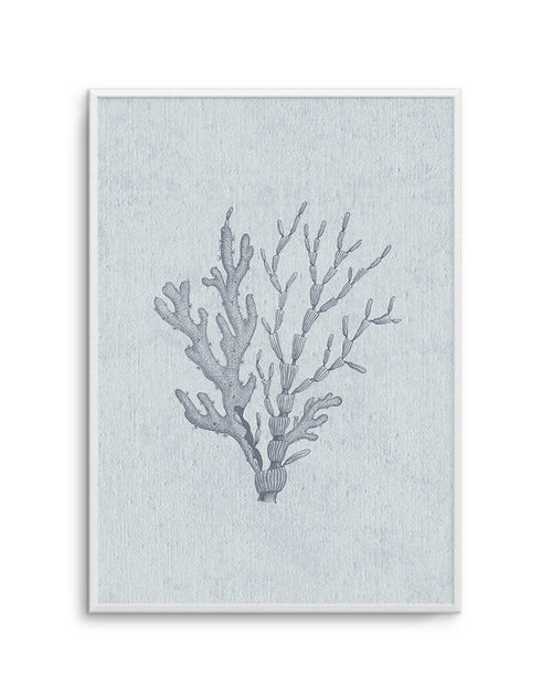 Hamptons Seaside Collection IV Blue Art Print-PRINT-Olive et Oriel-Olive et Oriel-A5 | 5.8" x 8.3" | 14.8 x 21cm-Unframed Art Print-With White Border-Buy-Australian-Art-Prints-Online-with-Olive-et-Oriel-Your-Artwork-Specialists-Austrailia-Decorate-With-Coastal-Photo-Wall-Art-Prints-From-Our-Beach-House-Artwork-Collection-Fine-Poster-and-Framed-Artwork