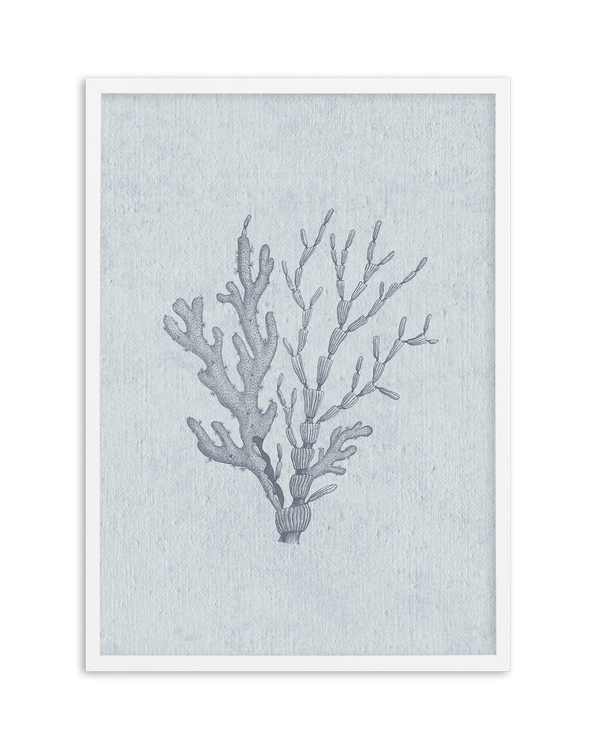 Hamptons Seaside Collection IV Blue Art Print-PRINT-Olive et Oriel-Olive et Oriel-A5 | 5.8" x 8.3" | 14.8 x 21cm-White-With White Border-Buy-Australian-Art-Prints-Online-with-Olive-et-Oriel-Your-Artwork-Specialists-Austrailia-Decorate-With-Coastal-Photo-Wall-Art-Prints-From-Our-Beach-House-Artwork-Collection-Fine-Poster-and-Framed-Artwork