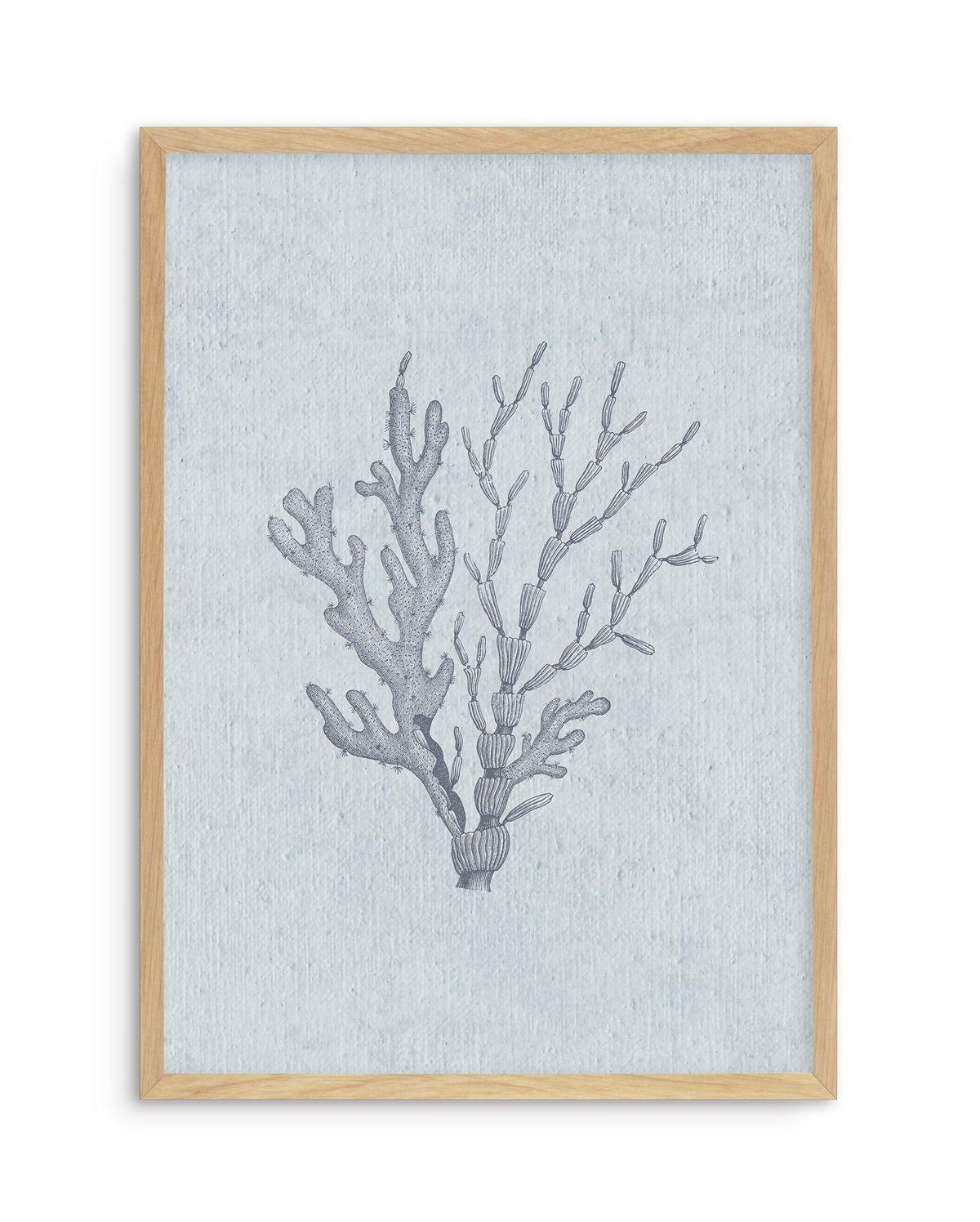 Hamptons Seaside Collection IV Blue Art Print-PRINT-Olive et Oriel-Olive et Oriel-A5 | 5.8" x 8.3" | 14.8 x 21cm-Oak-With White Border-Buy-Australian-Art-Prints-Online-with-Olive-et-Oriel-Your-Artwork-Specialists-Austrailia-Decorate-With-Coastal-Photo-Wall-Art-Prints-From-Our-Beach-House-Artwork-Collection-Fine-Poster-and-Framed-Artwork