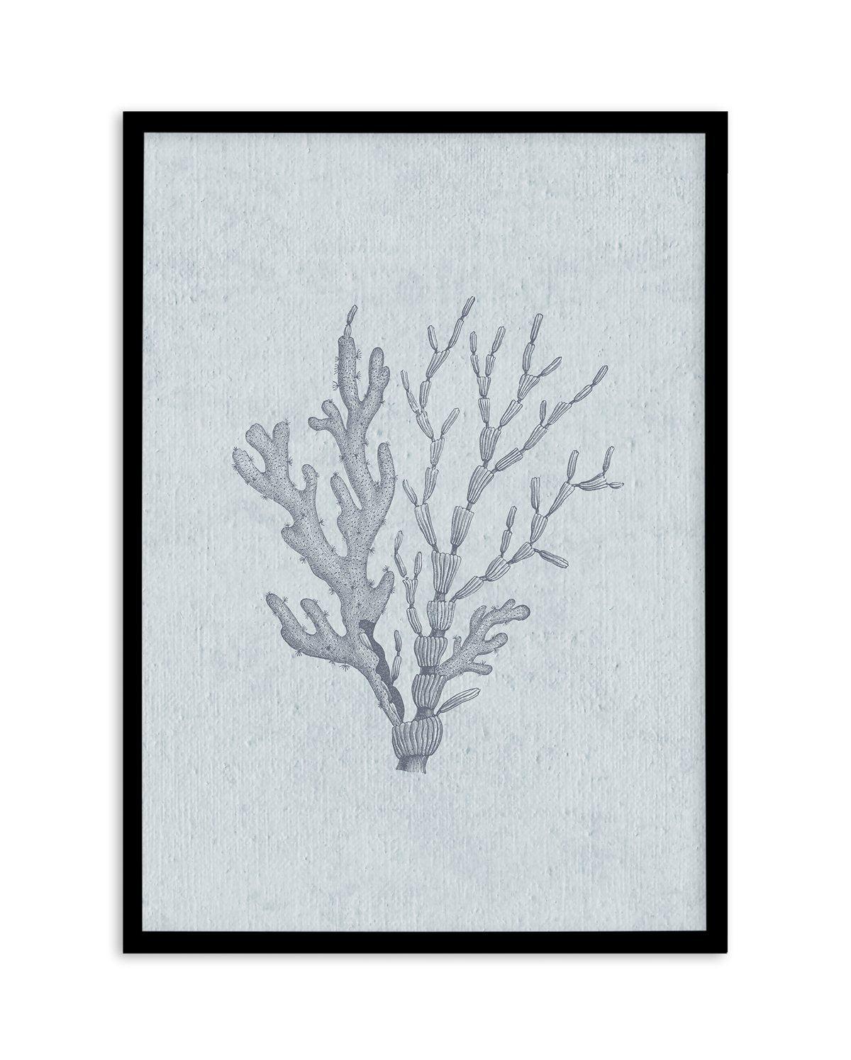 Hamptons Seaside Collection IV Blue Art Print-PRINT-Olive et Oriel-Olive et Oriel-A5 | 5.8" x 8.3" | 14.8 x 21cm-Black-With White Border-Buy-Australian-Art-Prints-Online-with-Olive-et-Oriel-Your-Artwork-Specialists-Austrailia-Decorate-With-Coastal-Photo-Wall-Art-Prints-From-Our-Beach-House-Artwork-Collection-Fine-Poster-and-Framed-Artwork