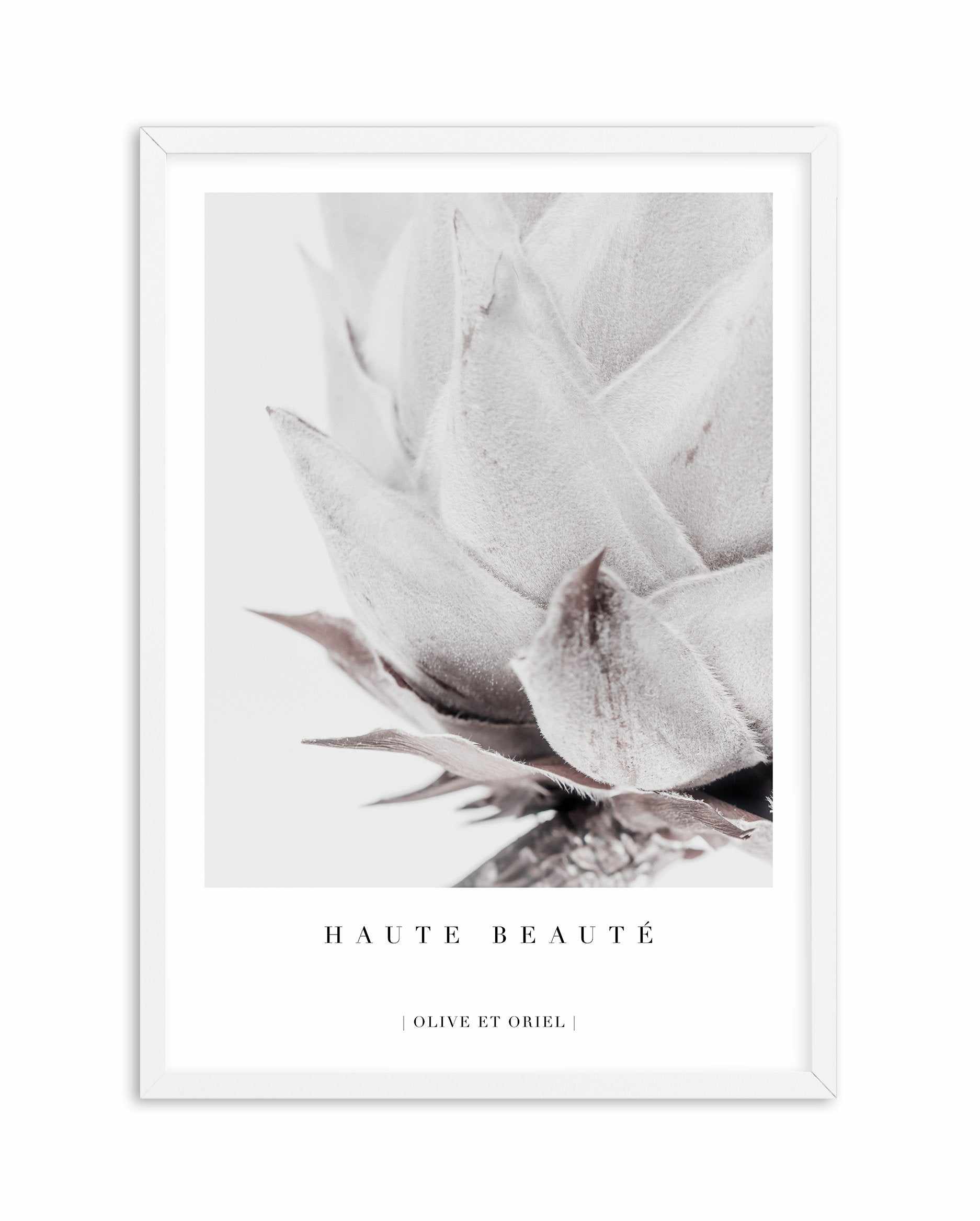 Haute Beaute | King Protea Art Print-PRINT-Olive et Oriel-Olive et Oriel-A4 | 8.3" x 11.7" | 21 x 29.7cm-White-Buy-Australian-Art-Prints-Online-with-Olive-et-Oriel-Your-Artwork-Specialists-Austrailia-Decorate-With-Coastal-Photo-Wall-Art-Prints-From-Our-Beach-House-Artwork-Collection-Fine-Poster-and-Framed-Artwork