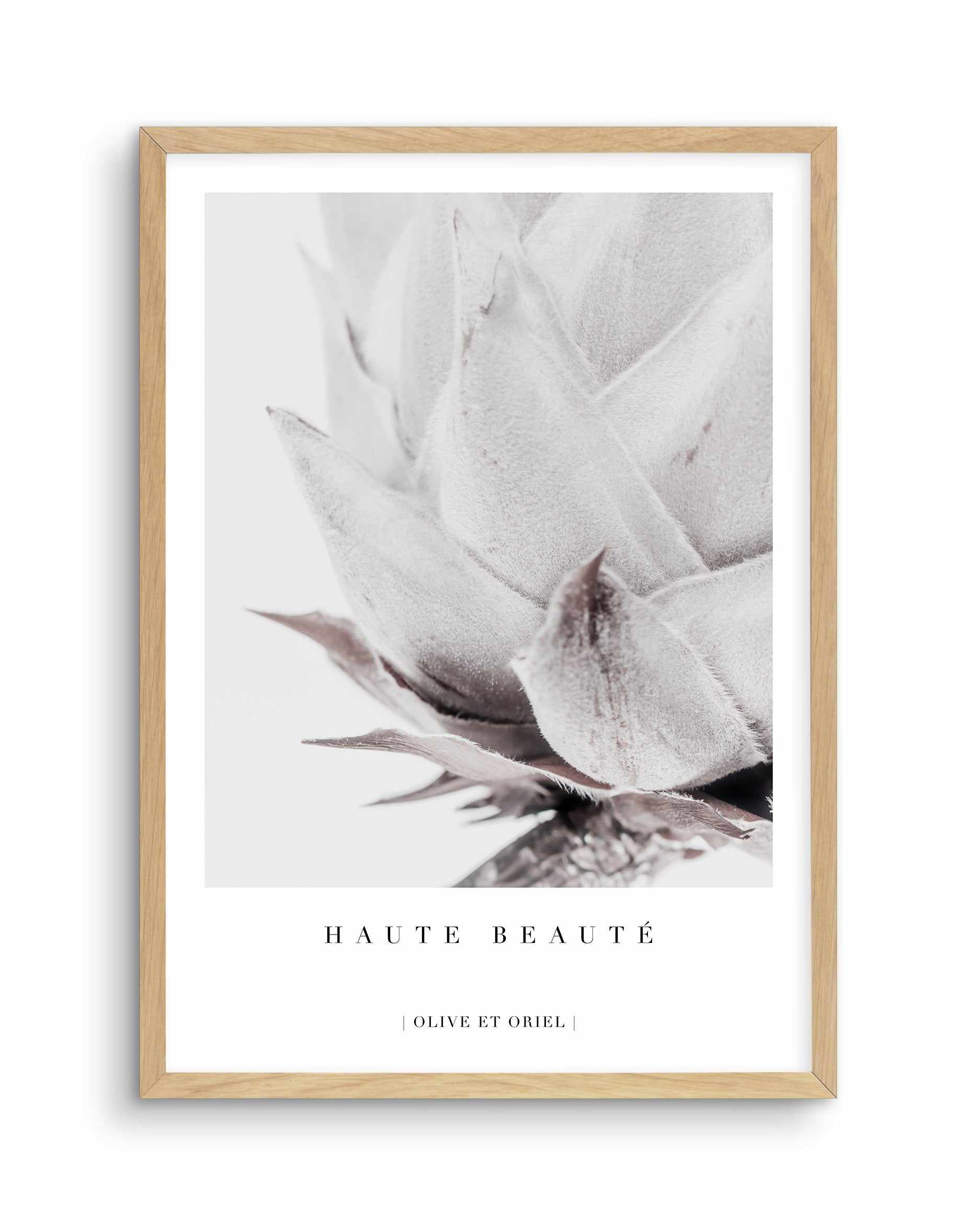 Haute Beaute | King Protea Art Print-PRINT-Olive et Oriel-Olive et Oriel-A4 | 8.3" x 11.7" | 21 x 29.7cm-Oak-Buy-Australian-Art-Prints-Online-with-Olive-et-Oriel-Your-Artwork-Specialists-Austrailia-Decorate-With-Coastal-Photo-Wall-Art-Prints-From-Our-Beach-House-Artwork-Collection-Fine-Poster-and-Framed-Artwork