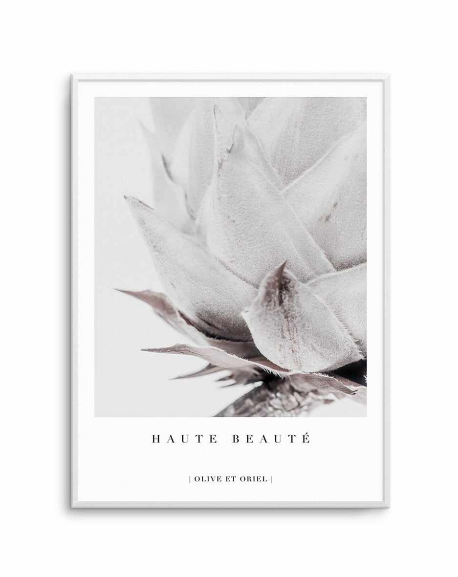 Haute Beaute | King Protea Art Print-PRINT-Olive et Oriel-Olive et Oriel-A4 | 8.3" x 11.7" | 21 x 29.7cm-Unframed Art Print-Buy-Australian-Art-Prints-Online-with-Olive-et-Oriel-Your-Artwork-Specialists-Austrailia-Decorate-With-Coastal-Photo-Wall-Art-Prints-From-Our-Beach-House-Artwork-Collection-Fine-Poster-and-Framed-Artwork