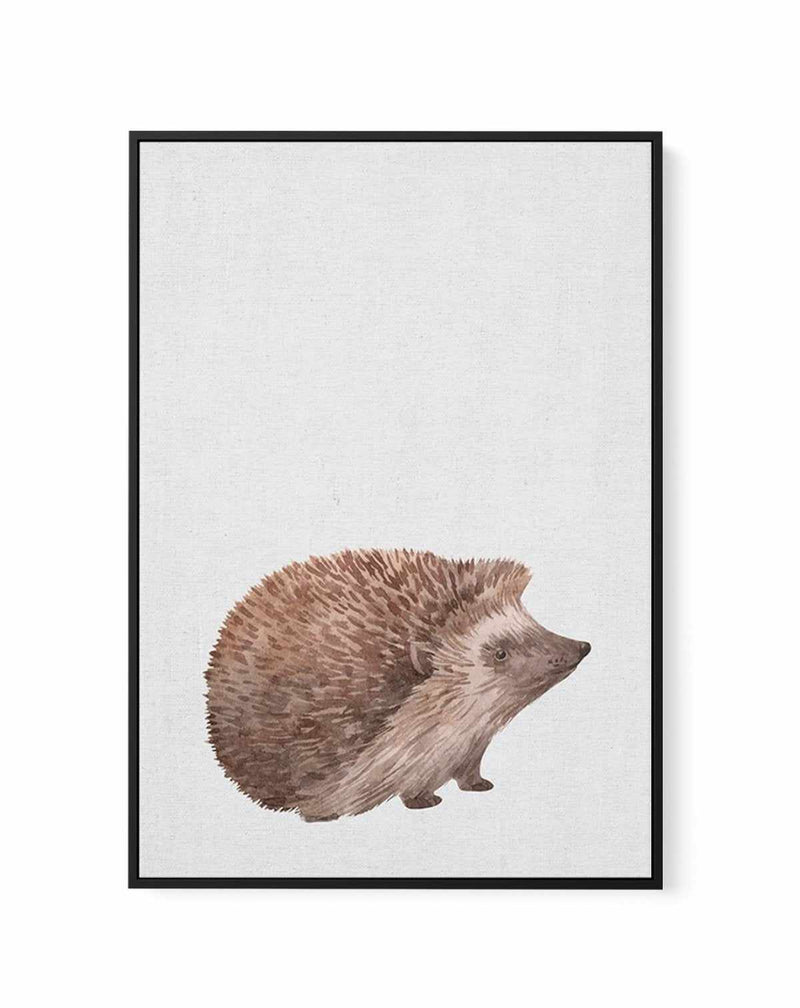 Hedgehog on Linen I | Framed Canvas-CANVAS-You can shop wall art online with Olive et Oriel for everything from abstract art to fun kids wall art. Our beautiful modern art prints and canvas art are available from large canvas prints to wall art paintings and our proudly Australian artwork collection offers only the highest quality framed large wall art and canvas art Australia - You can buy fashion photography prints or Hampton print posters and paintings on canvas from Olive et Oriel and have t