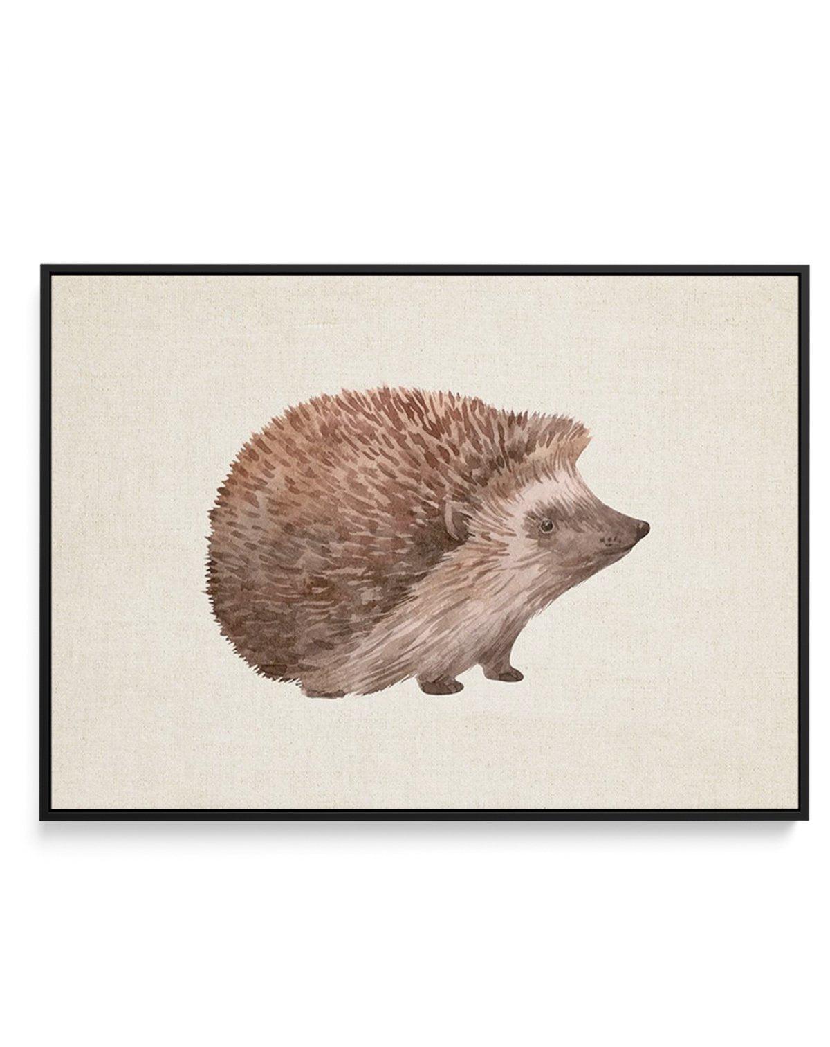 Hedgehog on Linen I | LS | Framed Canvas-CANVAS-You can shop wall art online with Olive et Oriel for everything from abstract art to fun kids wall art. Our beautiful modern art prints and canvas art are available from large canvas prints to wall art paintings and our proudly Australian artwork collection offers only the highest quality framed large wall art and canvas art Australia - You can buy fashion photography prints or Hampton print posters and paintings on canvas from Olive et Oriel and h