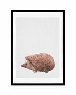 Hedgehog on Linen II Art Print-PRINT-Olive et Oriel-Olive et Oriel-A5 | 5.8" x 8.3" | 14.8 x 21cm-Black-With White Border-Buy-Australian-Art-Prints-Online-with-Olive-et-Oriel-Your-Artwork-Specialists-Austrailia-Decorate-With-Coastal-Photo-Wall-Art-Prints-From-Our-Beach-House-Artwork-Collection-Fine-Poster-and-Framed-Artwork