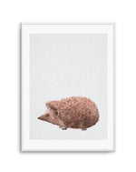 Hedgehog on Linen II Art Print-PRINT-Olive et Oriel-Olive et Oriel-A5 | 5.8" x 8.3" | 14.8 x 21cm-Unframed Art Print-With White Border-Buy-Australian-Art-Prints-Online-with-Olive-et-Oriel-Your-Artwork-Specialists-Austrailia-Decorate-With-Coastal-Photo-Wall-Art-Prints-From-Our-Beach-House-Artwork-Collection-Fine-Poster-and-Framed-Artwork