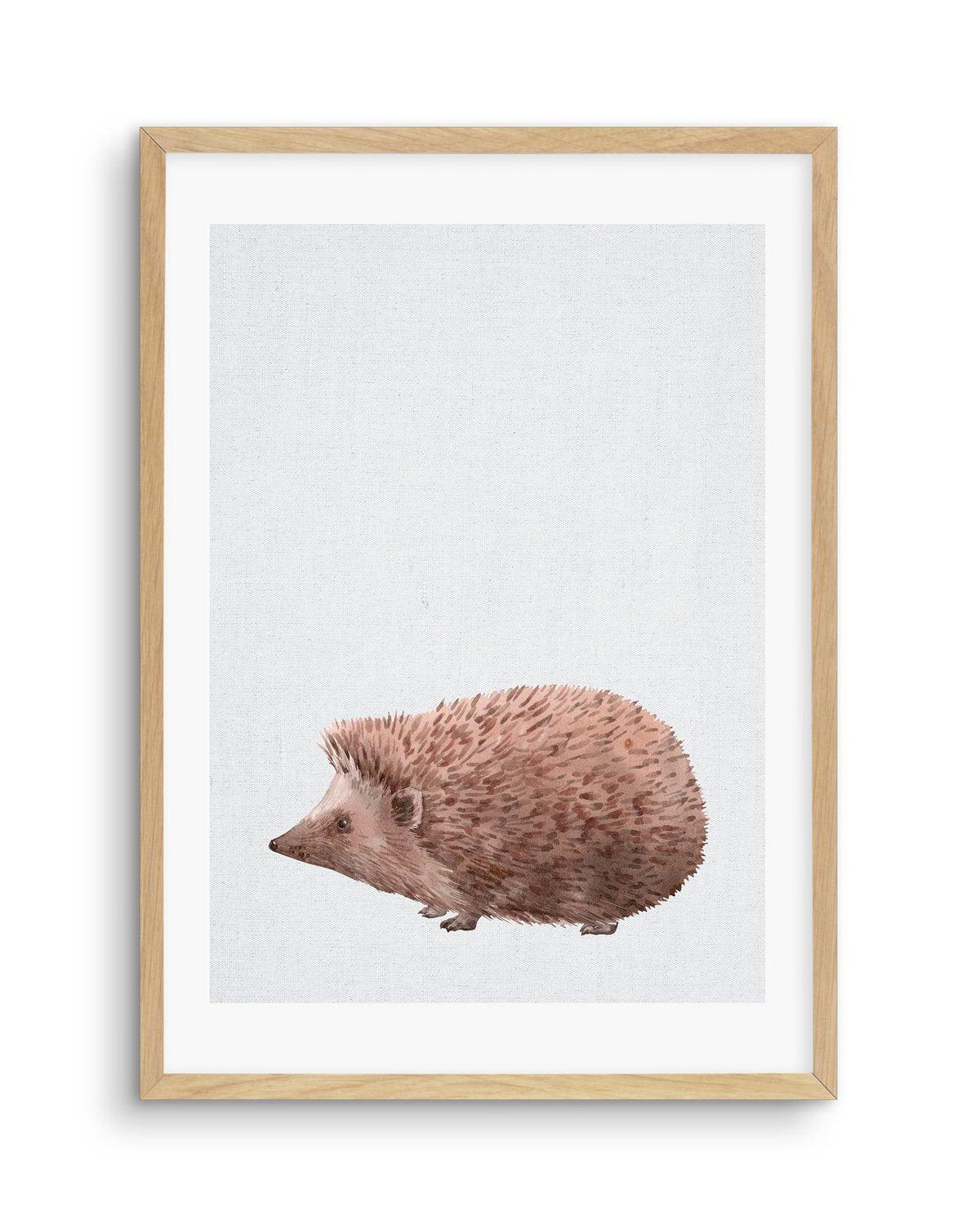 Hedgehog on Linen II Art Print-PRINT-Olive et Oriel-Olive et Oriel-A5 | 5.8" x 8.3" | 14.8 x 21cm-Oak-With White Border-Buy-Australian-Art-Prints-Online-with-Olive-et-Oriel-Your-Artwork-Specialists-Austrailia-Decorate-With-Coastal-Photo-Wall-Art-Prints-From-Our-Beach-House-Artwork-Collection-Fine-Poster-and-Framed-Artwork