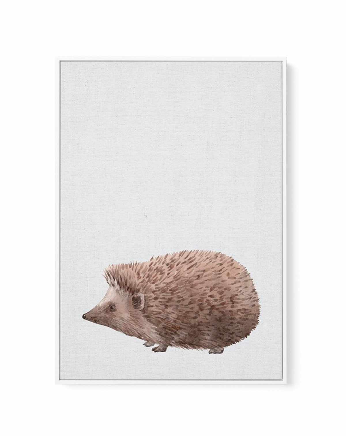 Hedgehog on Linen II | Framed Canvas-CANVAS-You can shop wall art online with Olive et Oriel for everything from abstract art to fun kids wall art. Our beautiful modern art prints and canvas art are available from large canvas prints to wall art paintings and our proudly Australian artwork collection offers only the highest quality framed large wall art and canvas art Australia - You can buy fashion photography prints or Hampton print posters and paintings on canvas from Olive et Oriel and have 