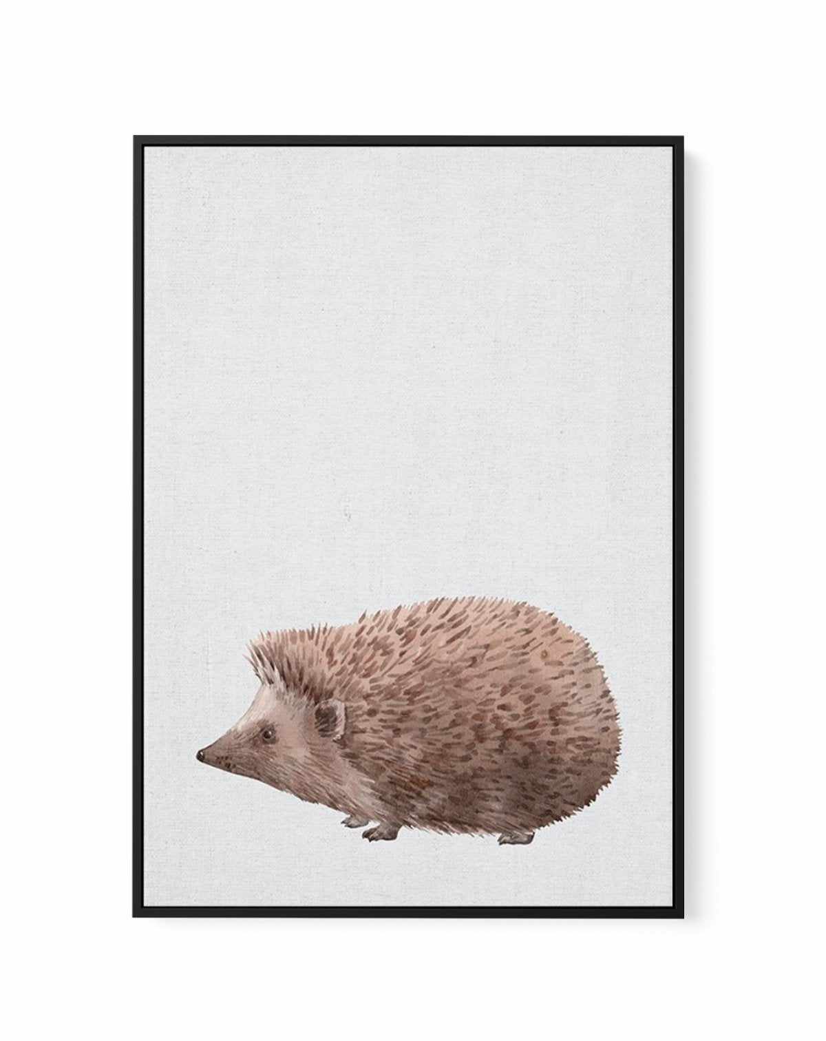 Hedgehog on Linen II | Framed Canvas-CANVAS-You can shop wall art online with Olive et Oriel for everything from abstract art to fun kids wall art. Our beautiful modern art prints and canvas art are available from large canvas prints to wall art paintings and our proudly Australian artwork collection offers only the highest quality framed large wall art and canvas art Australia - You can buy fashion photography prints or Hampton print posters and paintings on canvas from Olive et Oriel and have 