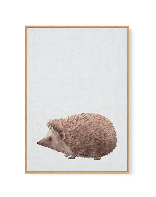 Hedgehog on Linen II | Framed Canvas-CANVAS-You can shop wall art online with Olive et Oriel for everything from abstract art to fun kids wall art. Our beautiful modern art prints and canvas art are available from large canvas prints to wall art paintings and our proudly Australian artwork collection offers only the highest quality framed large wall art and canvas art Australia - You can buy fashion photography prints or Hampton print posters and paintings on canvas from Olive et Oriel and have 