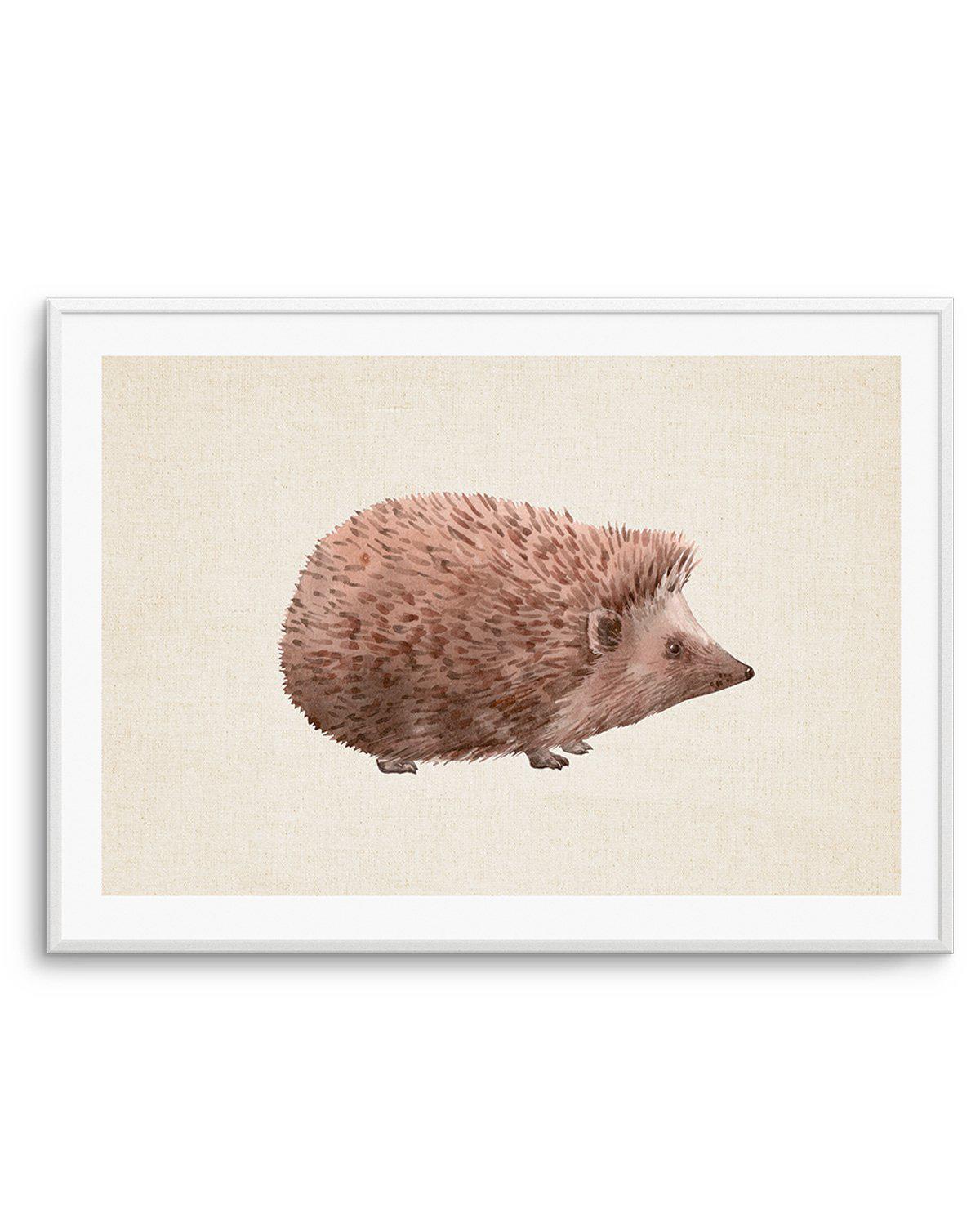 Hedgehog on Linen II | LS Art Print-PRINT-Olive et Oriel-Olive et Oriel-A5 | 5.8" x 8.3" | 14.8 x 21cm-Unframed Art Print-With White Border-Buy-Australian-Art-Prints-Online-with-Olive-et-Oriel-Your-Artwork-Specialists-Austrailia-Decorate-With-Coastal-Photo-Wall-Art-Prints-From-Our-Beach-House-Artwork-Collection-Fine-Poster-and-Framed-Artwork