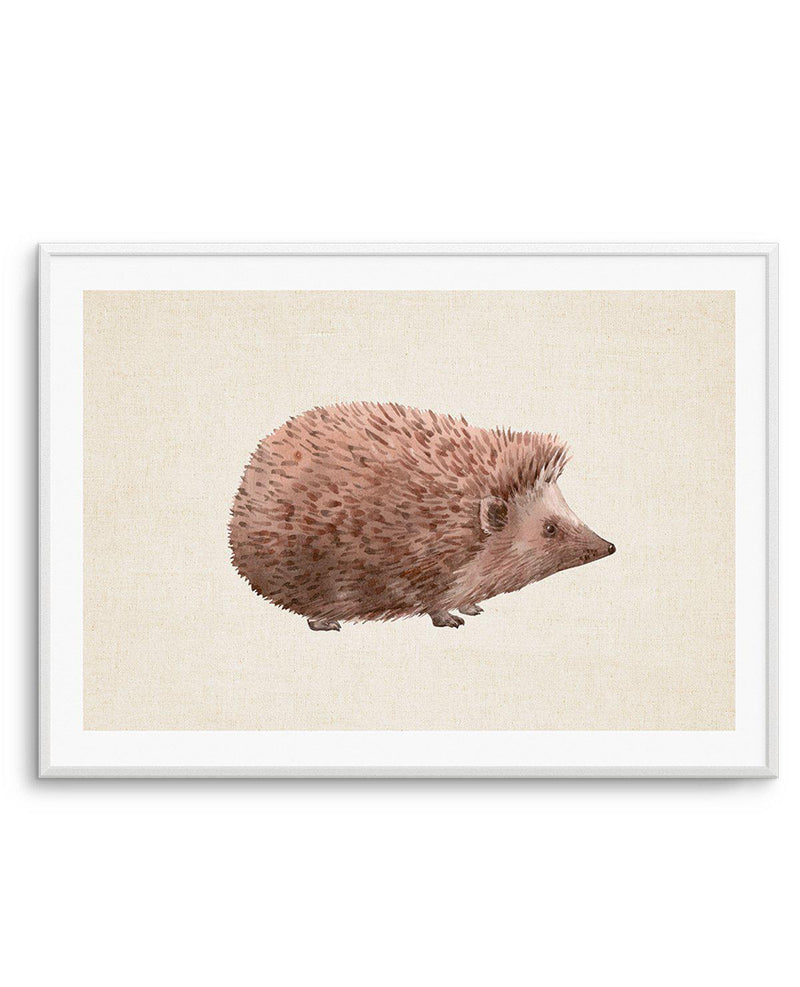 Hedgehog on Linen II | LS Art Print-PRINT-Olive et Oriel-Olive et Oriel-A5 | 5.8" x 8.3" | 14.8 x 21cm-Unframed Art Print-With White Border-Buy-Australian-Art-Prints-Online-with-Olive-et-Oriel-Your-Artwork-Specialists-Austrailia-Decorate-With-Coastal-Photo-Wall-Art-Prints-From-Our-Beach-House-Artwork-Collection-Fine-Poster-and-Framed-Artwork